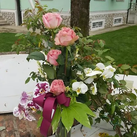 Spacious In Campanile With Private Pool Apartamento *