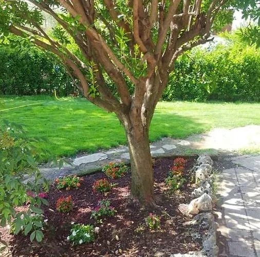 Apartamento Spacious In Campanile With Private Pool *